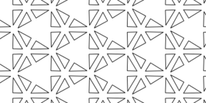 p3m1